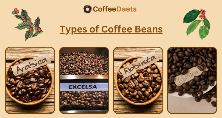 types-of-coffee-beans-image-,ain