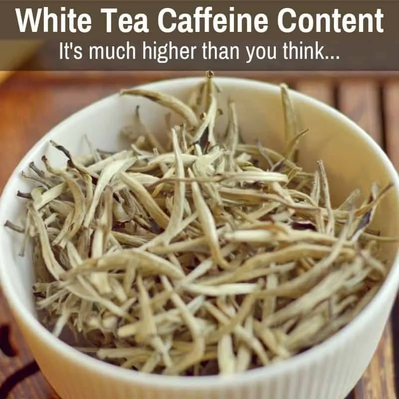 White-Tea-Caffeine-Content