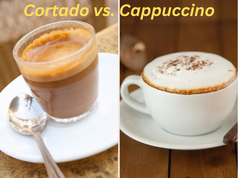 Cortado vs. Cappuccino